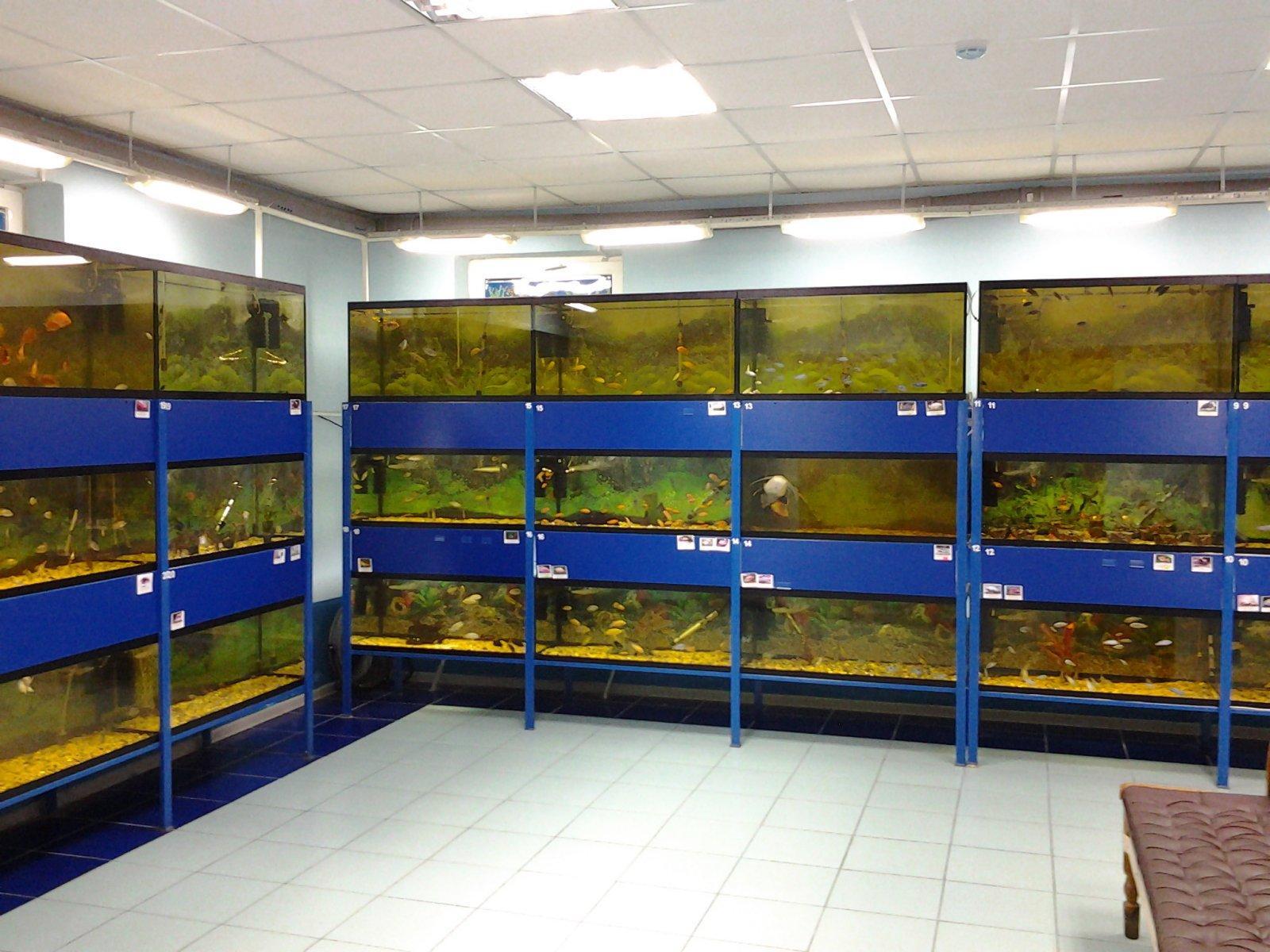 Отзывы об "Аптека Плюс", Самара, проспект Кирова, 322Ак1 - Яндекс Карты